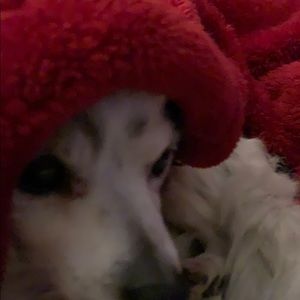 Meet your Posher, Lisa